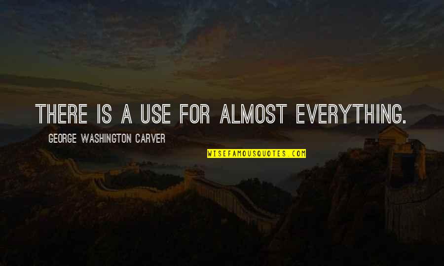 Gardall Quotes By George Washington Carver: There is a use for almost everything.