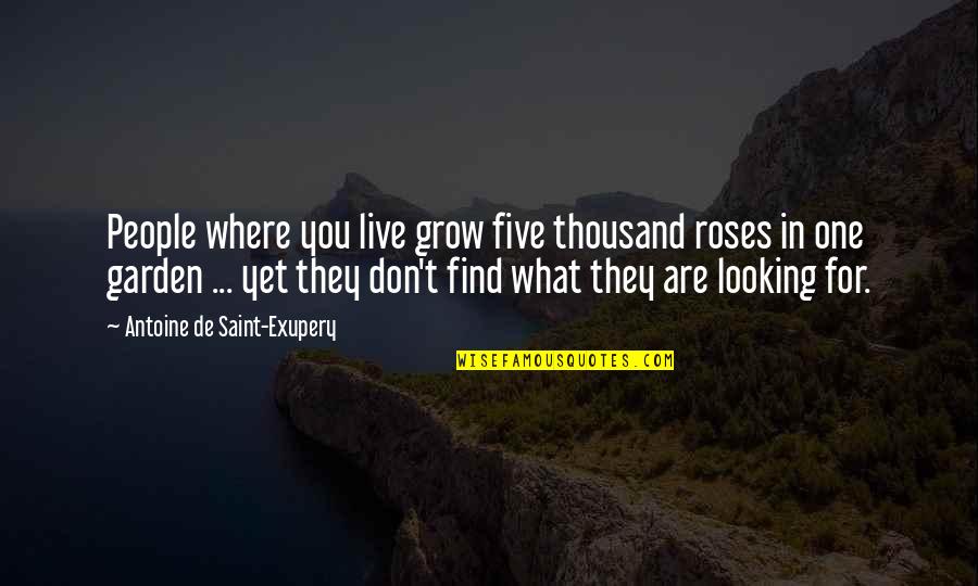 Garden Of Roses Quotes By Antoine De Saint-Exupery: People where you live grow five thousand roses
