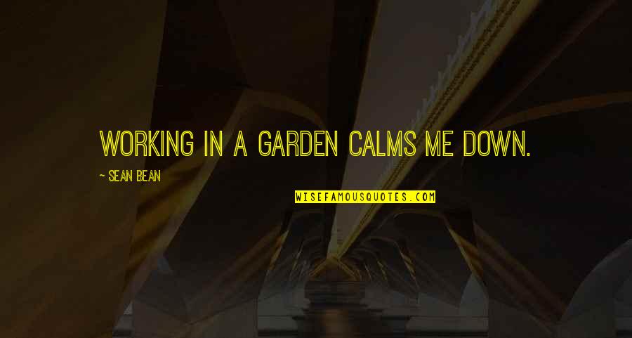 Garden Quotes By Sean Bean: Working in a garden calms me down.