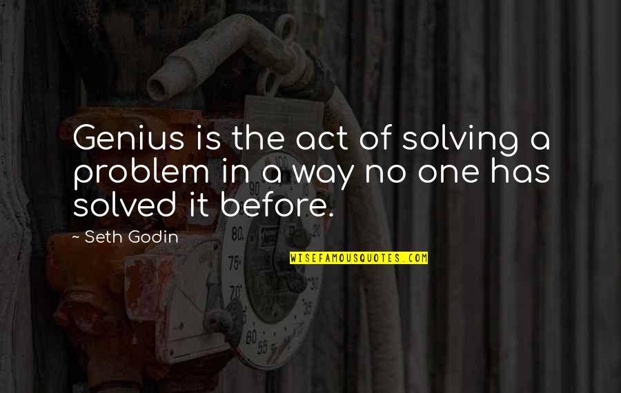 Garden Stepping Stones With Quotes By Seth Godin: Genius is the act of solving a problem