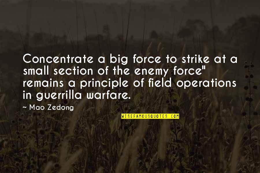 Garden Zen Quotes By Mao Zedong: Concentrate a big force to strike at a Garden Zen Quotes By Mao Zedong: Concentrate a big force to strike at a