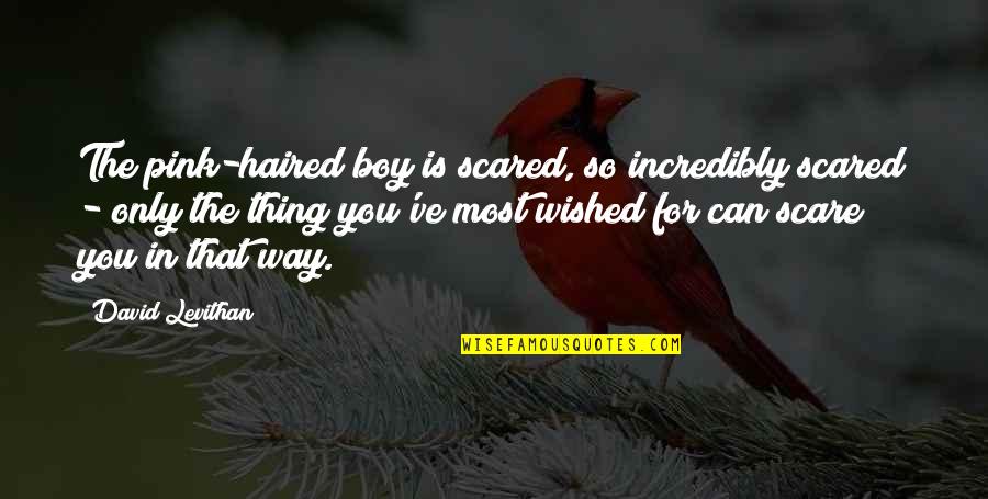 Garegin Papoian Quotes By David Levithan: The pink-haired boy is scared, so incredibly scared