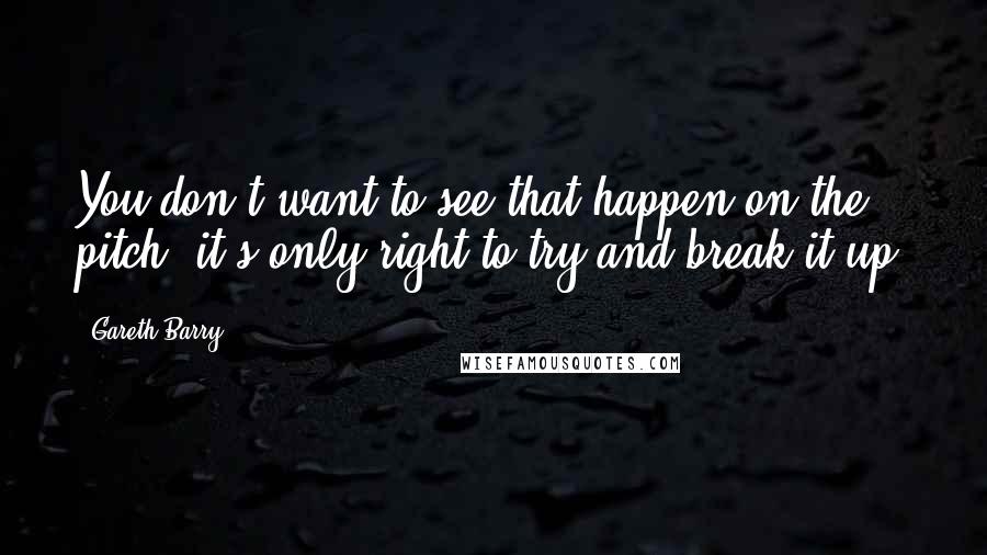 Gareth Barry quotes: You don't want to see that happen on the pitch, it's only right to try and break it up.
