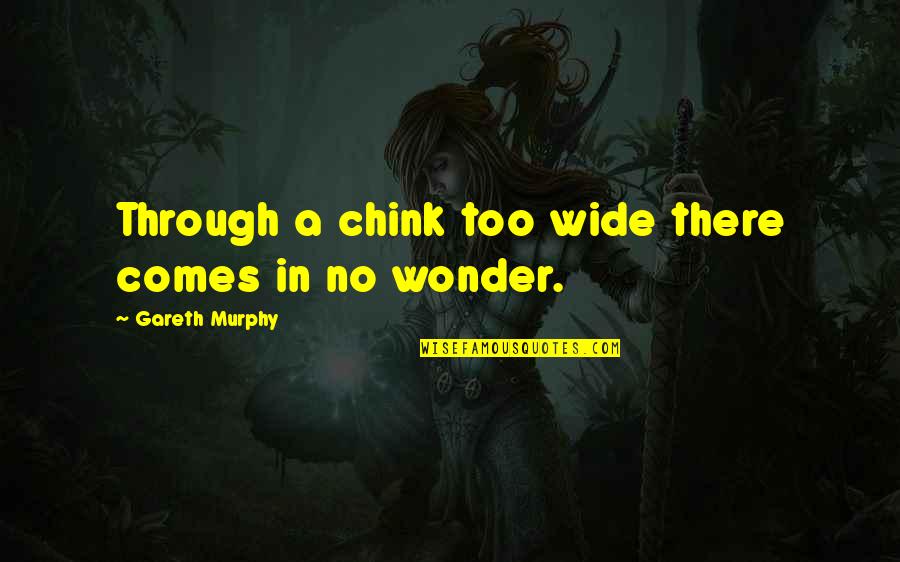 Gareth Quotes By Gareth Murphy: Through a chink too wide there comes in Gareth Quotes By Gareth Murphy: Through a chink too wide there comes in