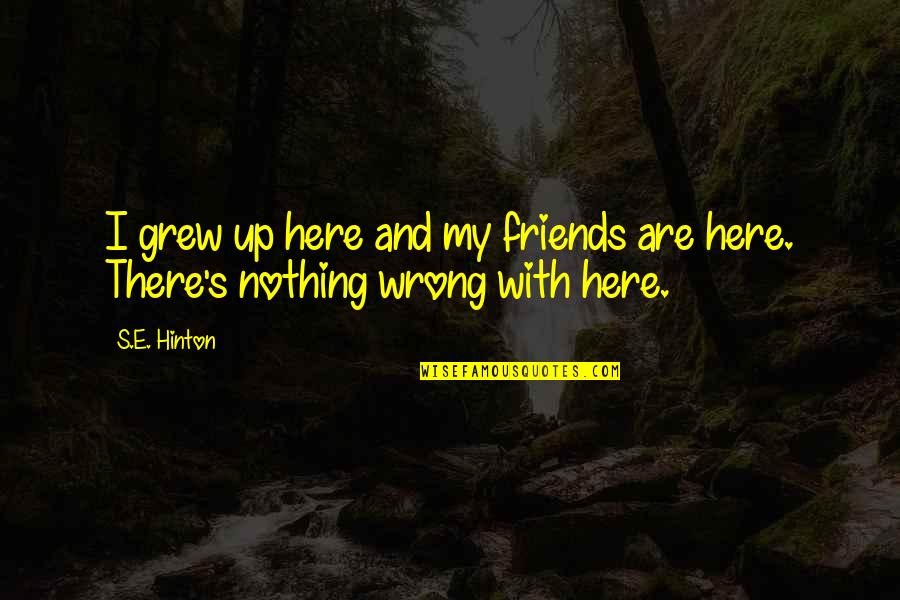 Garett Quotes By S.E. Hinton: I grew up here and my friends are