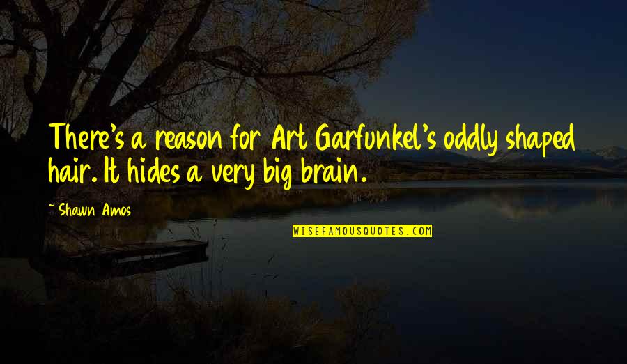 Garfunkel's Quotes By Shawn Amos: There's a reason for Art Garfunkel's oddly shaped