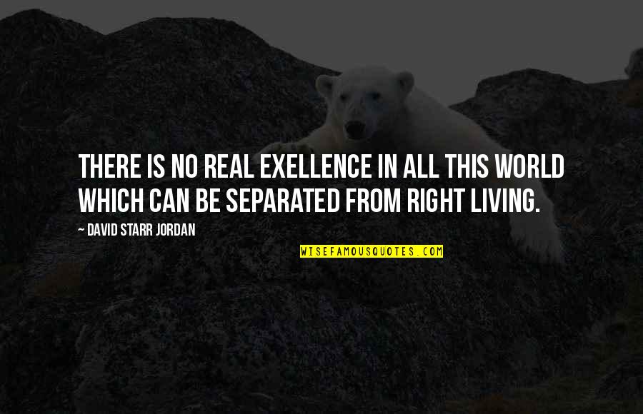 Gargalhada Desenho Quotes By David Starr Jordan: There is no real exellence in all this