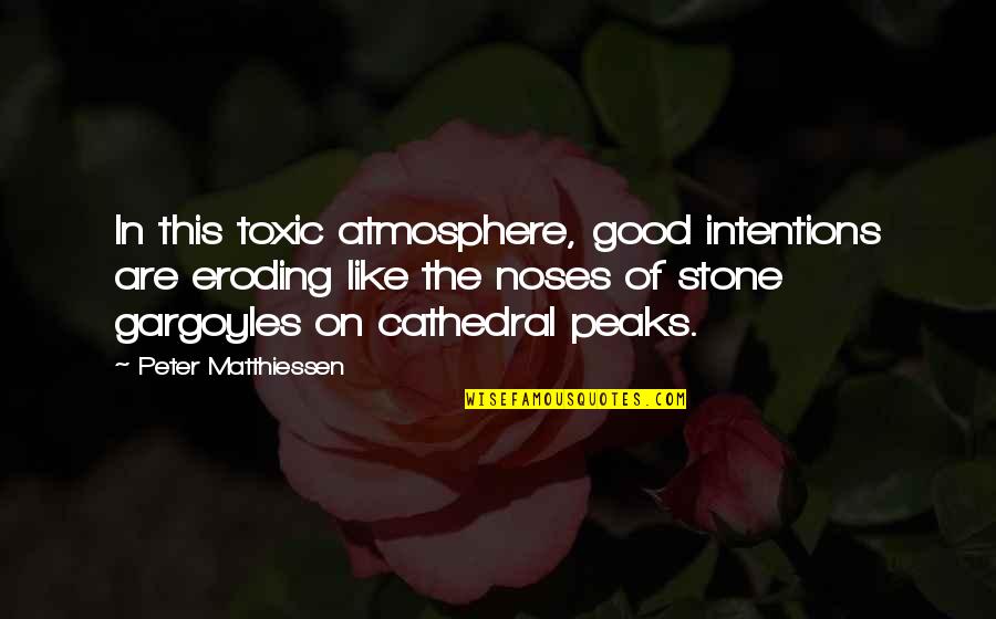 Gargoyles Quotes By Peter Matthiessen: In this toxic atmosphere, good intentions are eroding