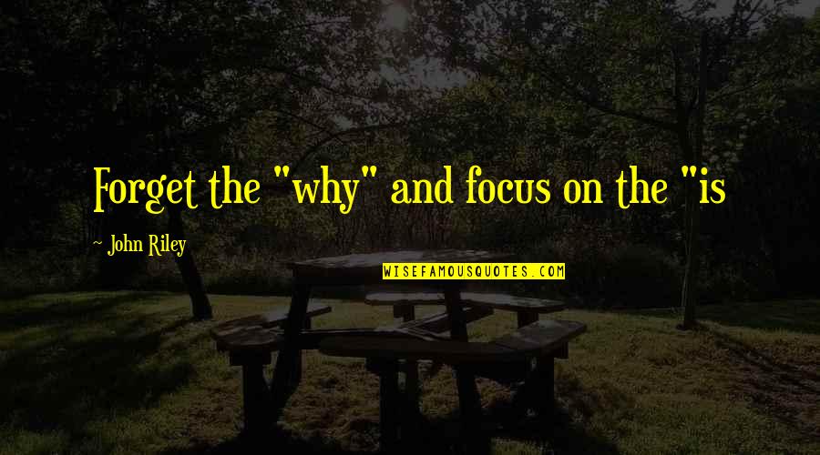 Garnham Wright Quotes By John Riley: Forget the "why" and focus on the "is