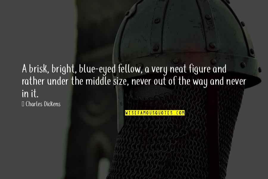 Garoa Hacker Quotes By Charles Dickens: A brisk, bright, blue-eyed fellow, a very neat Garoa Hacker Quotes By Charles Dickens: A brisk, bright, blue-eyed fellow, a very neat