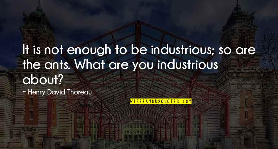 Garret Kramer Quotes By Henry David Thoreau: It is not enough to be industrious; so