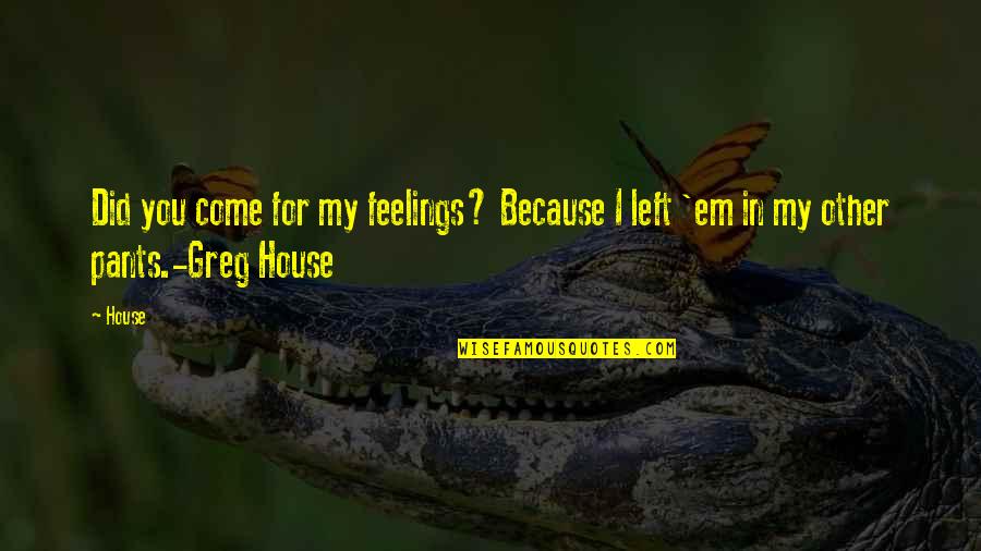 Garrido And Associates Quotes By House: Did you come for my feelings? Because I