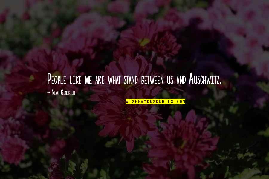 Garrigue Masaryk Quotes By Newt Gingrich: People like me are what stand between us Garrigue Masaryk Quotes By Newt Gingrich: People like me are what stand between us