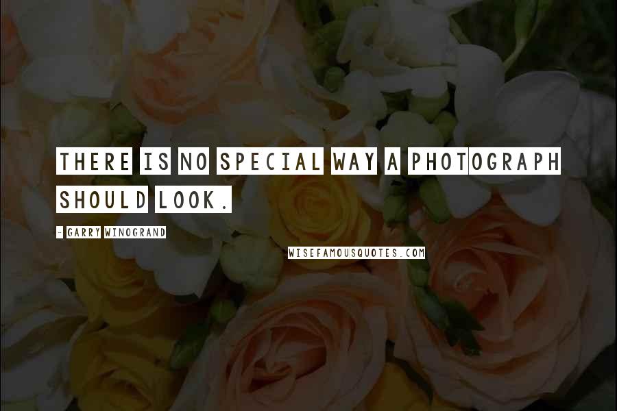 Garry Winogrand quotes: There is no special way a photograph should look.