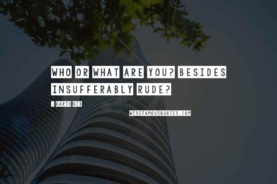 Garth Nix quotes: Who or what are you? Besides insufferably rude?