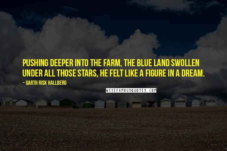 Garth Risk Hallberg quotes: Pushing deeper into the farm, the blue land swollen under all those stars, he felt like a figure in a dream.