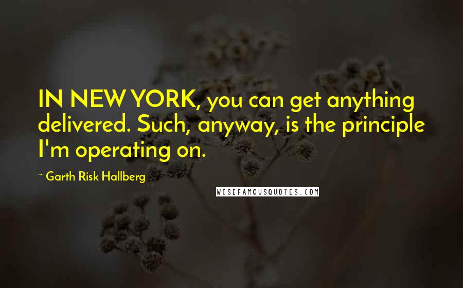 Garth Risk Hallberg quotes: IN NEW YORK, you can get anything delivered. Such, anyway, is the principle I'm operating on.