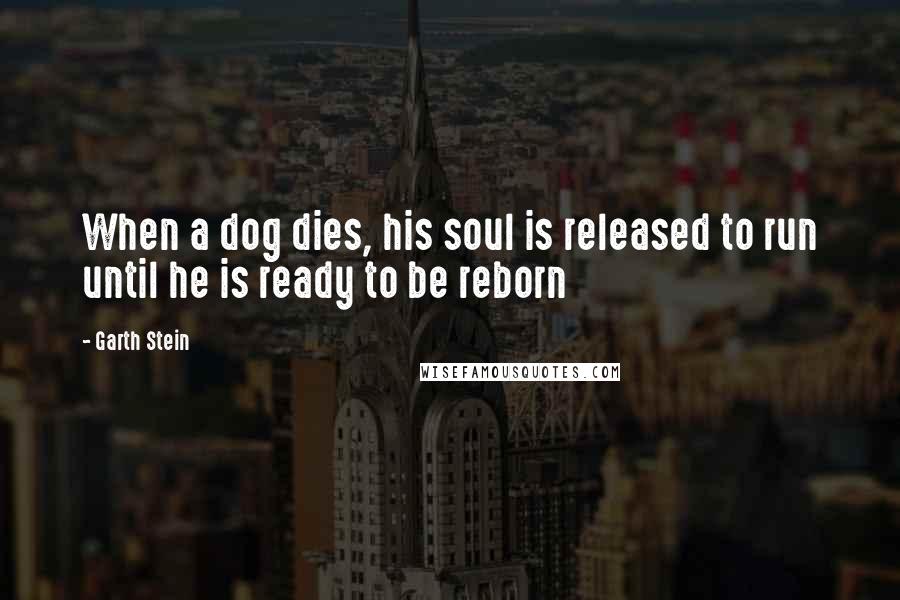 Garth Stein quotes: When a dog dies, his soul is released to run until he is ready to be reborn