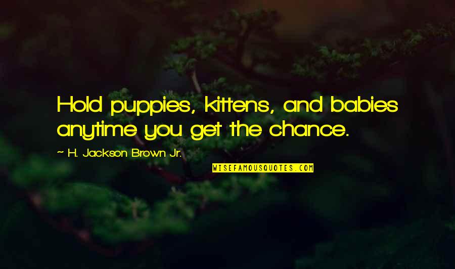 Gartman Quotes By H. Jackson Brown Jr.: Hold puppies, kittens, and babies anytime you get Gartman Quotes By H. Jackson Brown Jr.: Hold puppies, kittens, and babies anytime you get