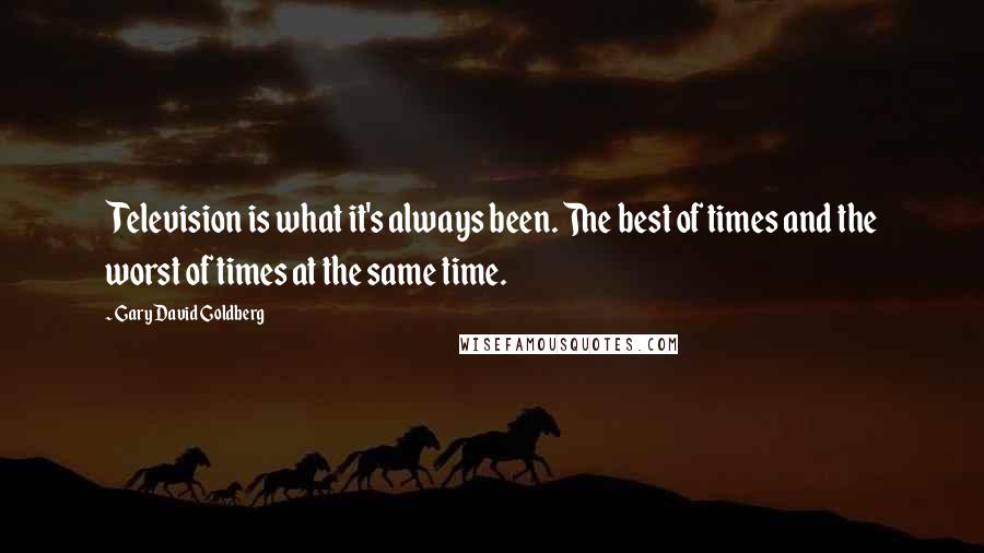 Gary David Goldberg quotes: Television is what it's always been. The best of times and the worst of times at the same time.