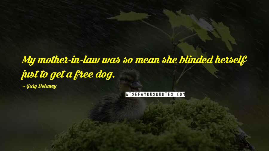 Gary Delaney quotes: My mother-in-law was so mean she blinded herself just to get a free dog.