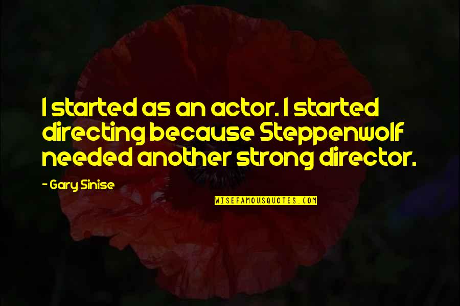 Gary Sinise Quotes By Gary Sinise: I started as an actor. I started directing