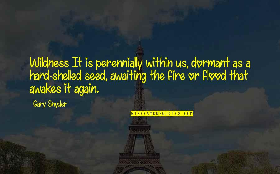 Gary Snyder Quotes By Gary Snyder: Wildness It is perennially within us, dormant as Gary Snyder Quotes By Gary Snyder: Wildness It is perennially within us, dormant as