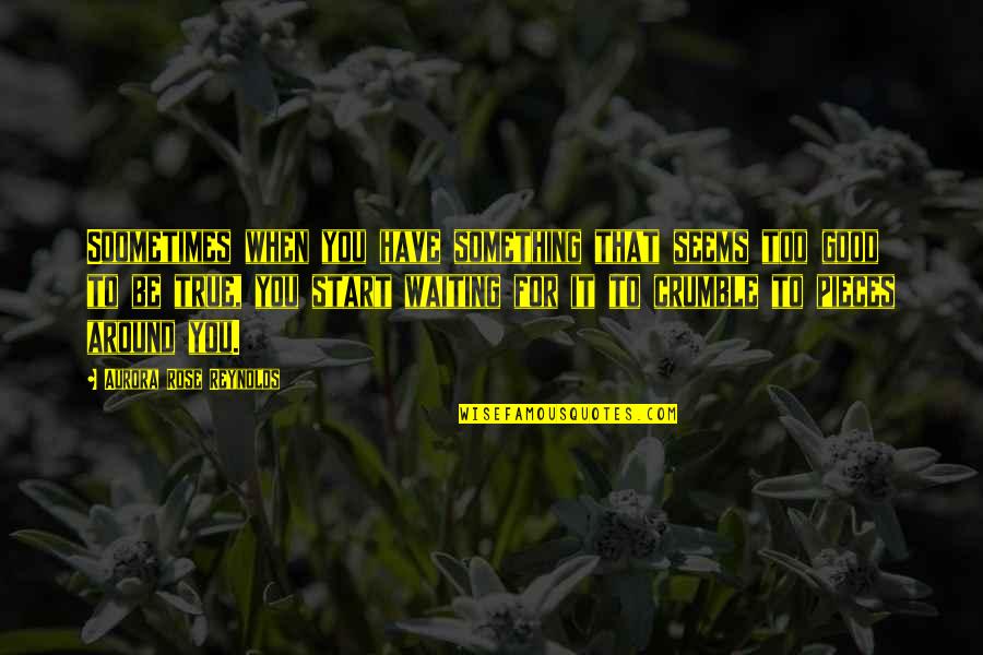 Gary Winogrand Quotes By Aurora Rose Reynolds: Soometimes when you have something that seems too