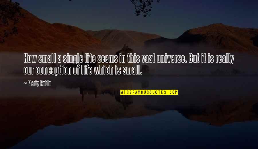 Gasearch Quotes By Marty Rubin: How small a single life seems in this