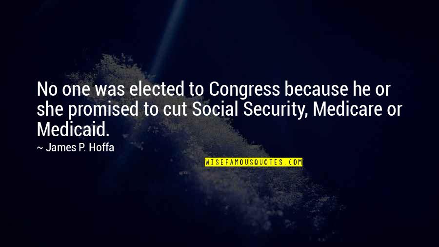 Gashonga Quotes By James P. Hoffa: No one was elected to Congress because he Gashonga Quotes By James P. Hoffa: No one was elected to Congress because he