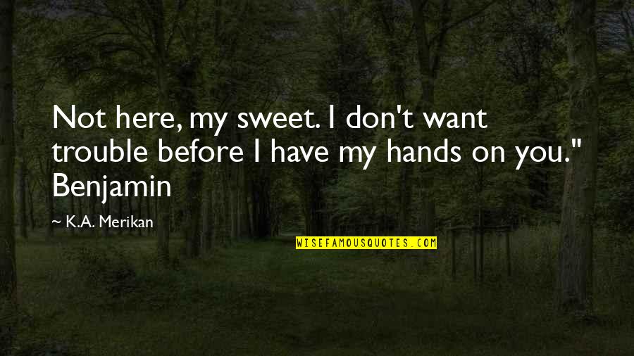 Gaskartusche Quotes By K.A. Merikan: Not here, my sweet. I don't want trouble