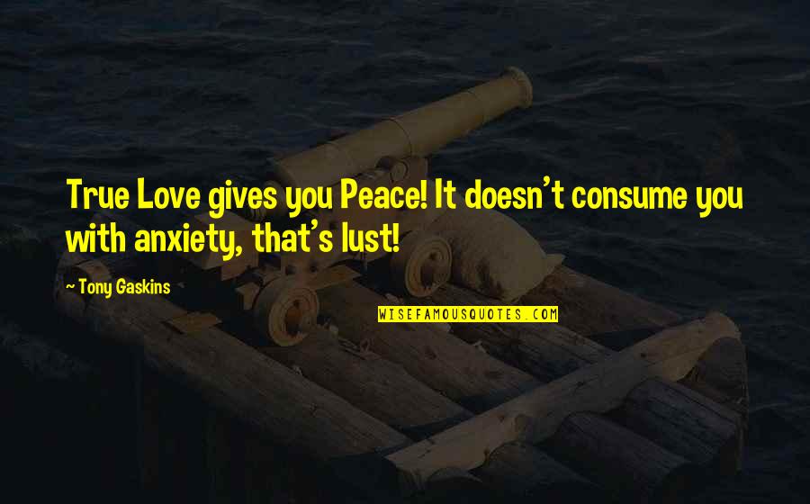 Gaskins Quotes By Tony Gaskins: True Love gives you Peace! It doesn't consume