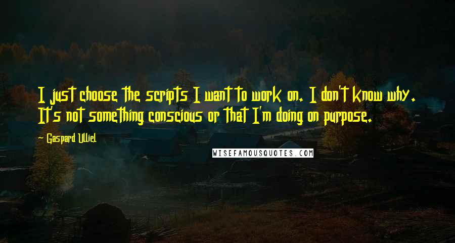 Gaspard Ulliel quotes: I just choose the scripts I want to work on. I don't know why. It's not something conscious or that I'm doing on purpose.