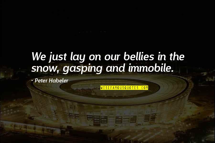 Gasping Quotes By Peter Habeler: We just lay on our bellies in the