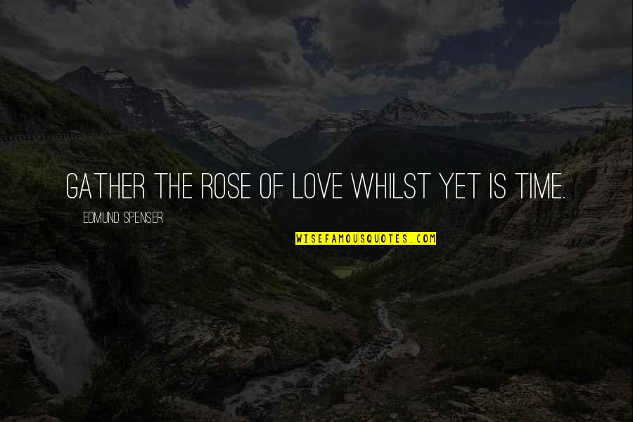 Gather'd Quotes By Edmund Spenser: Gather the rose of love whilst yet is