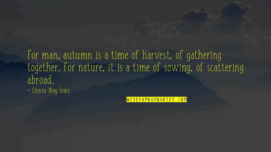 Gathering Together Quotes By Edwin Way Teale: For man, autumn is a time of harvest,