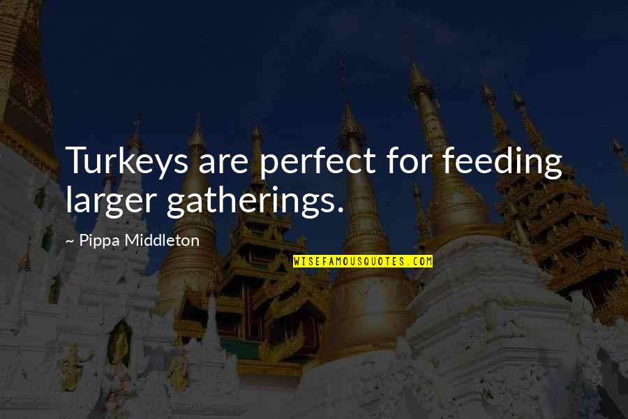 Gatherings Quotes By Pippa Middleton: Turkeys are perfect for feeding larger gatherings.