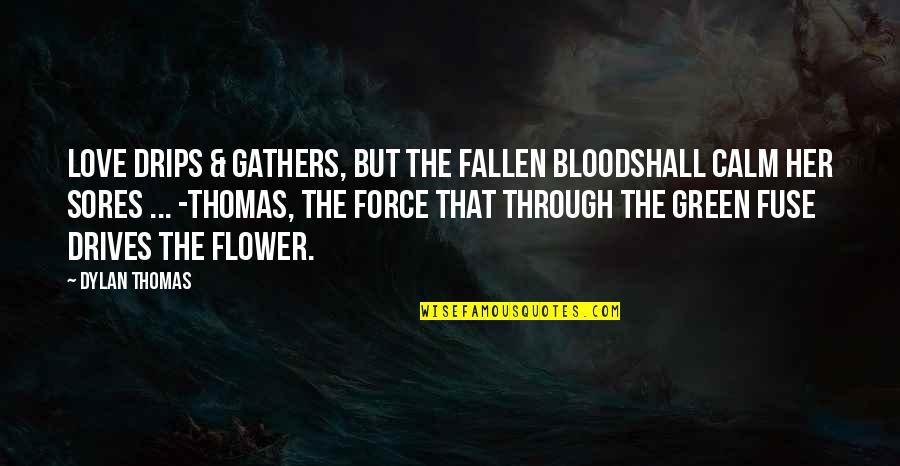 Gathers Quotes By Dylan Thomas: Love drips & gathers, but the fallen bloodShall