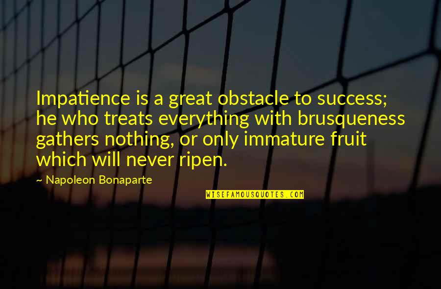 Gathers Quotes By Napoleon Bonaparte: Impatience is a great obstacle to success; he