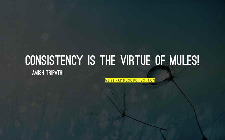 Gatsby Memorable Quotes By Amish Tripathi: Consistency is the virtue of mules!