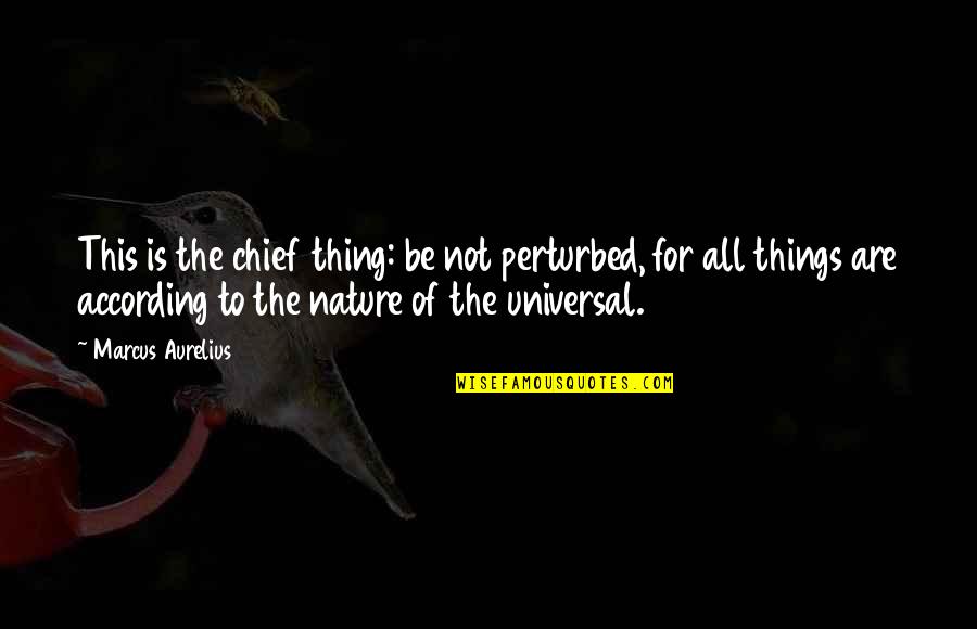 Gaucho Brazilian Quotes By Marcus Aurelius: This is the chief thing: be not perturbed,