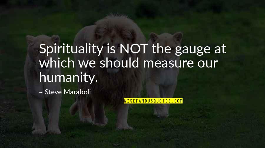 Gauges Quotes By Steve Maraboli: Spirituality is NOT the gauge at which we