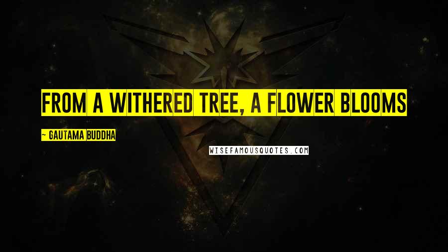 Gautama Buddha quotes: From a withered tree, a flower blooms