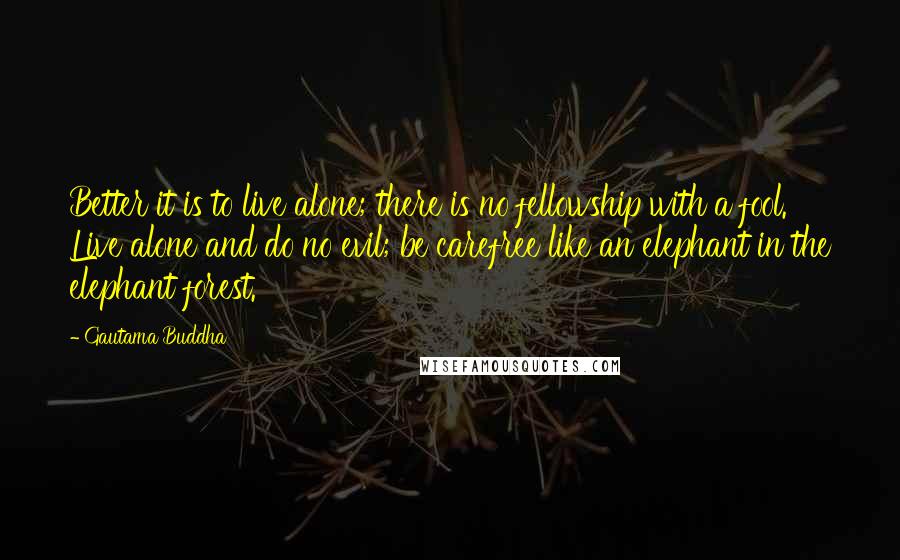 Gautama Buddha quotes: Better it is to live alone; there is no fellowship with a fool. Live alone and do no evil; be carefree like an elephant in the elephant forest. Gautama Buddha quotes: Better it is to live alone; there is no fellowship with a fool. Live alone and do no evil; be carefree like an elephant in the elephant forest.