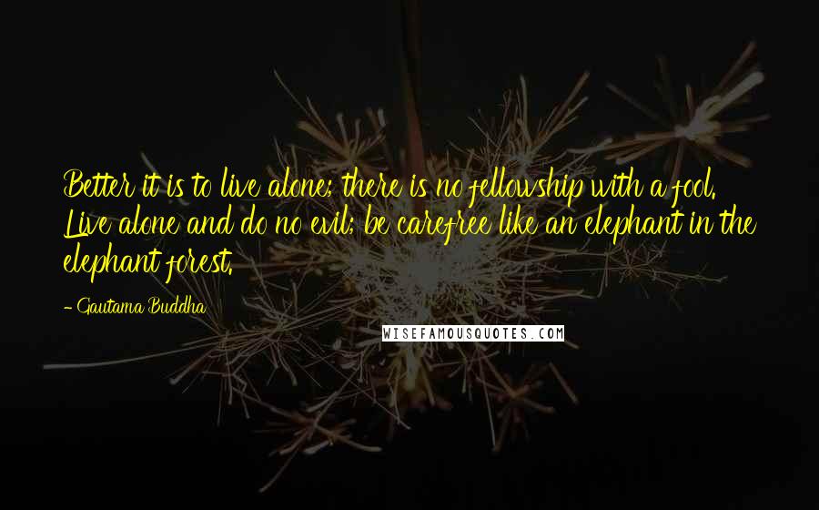 Gautama Buddha quotes: Better it is to live alone; there is no fellowship with a fool. Live alone and do no evil; be carefree like an elephant in the elephant forest.