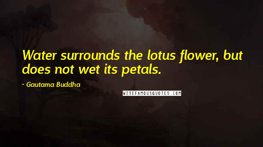 Gautama Buddha quotes: Water surrounds the lotus flower, but does not wet its petals.