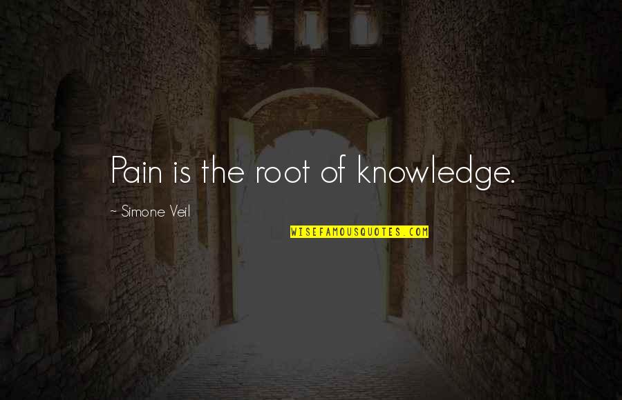 Gauzy Quotes By Simone Veil: Pain is the root of knowledge.