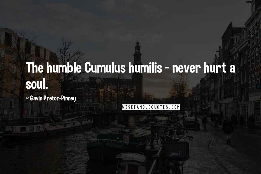 Gavin Pretor-Pinney quotes: The humble Cumulus humilis - never hurt a soul.