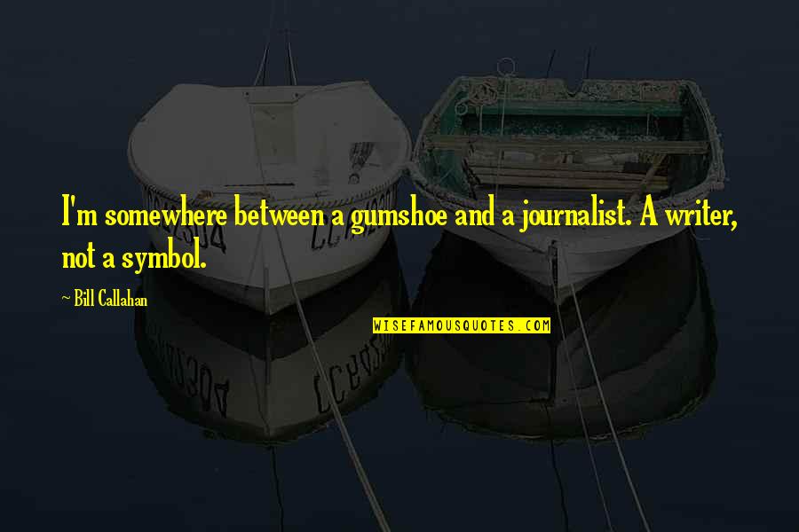 Gavlan Kashi Quotes By Bill Callahan: I'm somewhere between a gumshoe and a journalist.