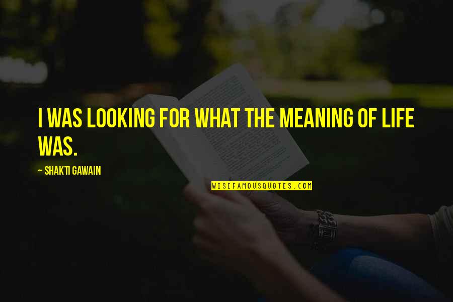 Gawain Quotes By Shakti Gawain: I was looking for what the meaning of